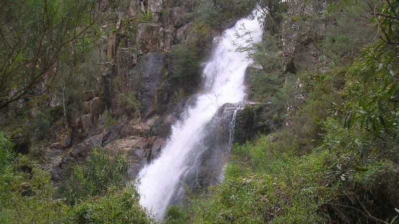 Jingellic Nature Walks Waterfalls Jingellic Nature Walks Waterfalls